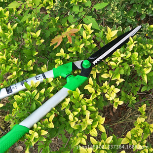 批发供应山藤草坪修枝剪花剪园林绿化剪刀整篱剪冬青剪绿篱剪