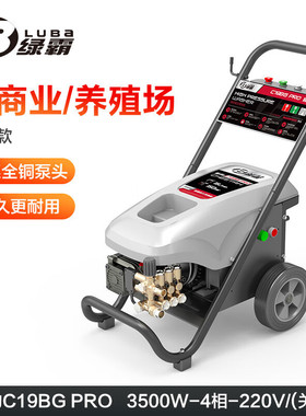 绿霸商用高压清洗机工业洗车机水枪220V物业洗车店猎豹C19BGPRO