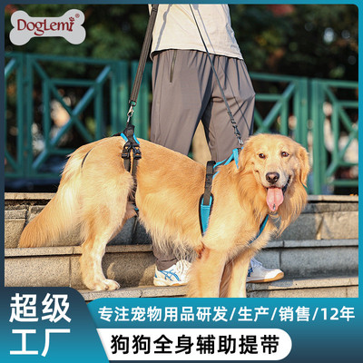 狗狗护具辅助器  高龄犬介护用宠物牵引绳残疾受伤老龄狗狗辅助带