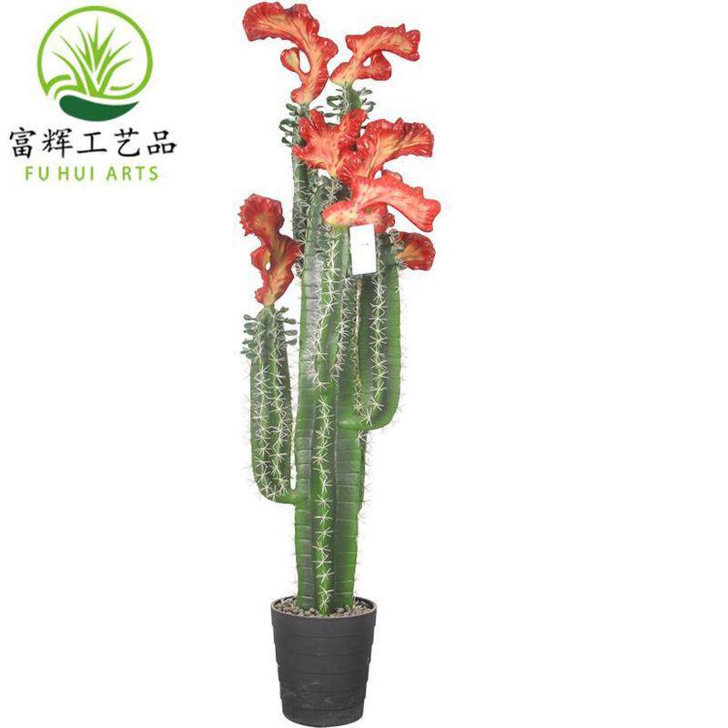鸡冠火麒麟仙人掌仿真仙人柱花盆栽套装组合家居装饰道具摆件批发