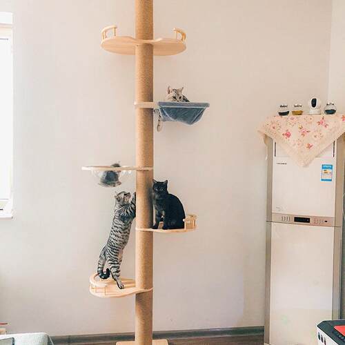 热销通天柱猫爬架实木占地猫窝猫树一体猫抓柱顶天立地猫架猫屋麻