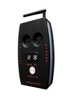 热销号可议-便携式二合一气体检测报警器型号m36-gamx2库价m36878