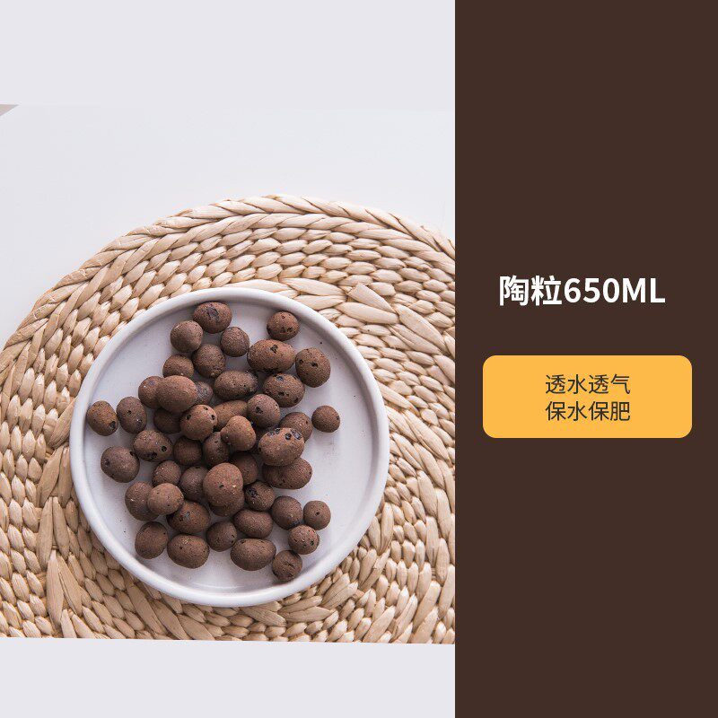 多肉小花盆陶瓷带托盘可爱盆小白小号白色长方形仙人掌多肉盆直销