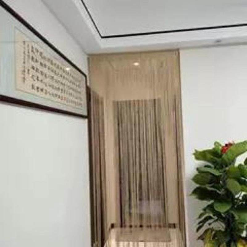 特密豪华款加密婚庆线帘客厅隔断玄关卧室免打孔挂帘防蚊流苏门帘,节庆用品/礼品,礼花/礼炮,淘宝优惠券,粉丝福利购,淘宝优惠卷