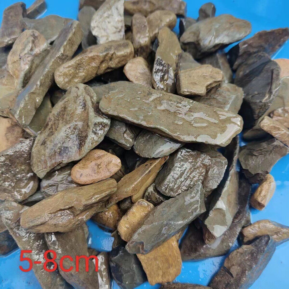 溪流沙原生缸天然鱼缸造景底砂批发溪流砂虾虎原生缸底缸