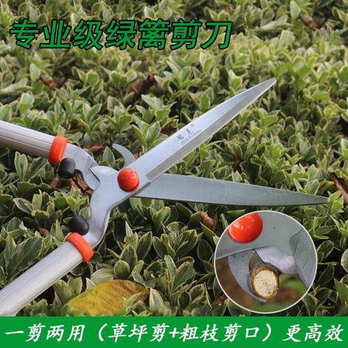 sk5合金钢厂家草坪剪园艺剪刀剪两用大花绿篱绿化剪刀冬青修枝一