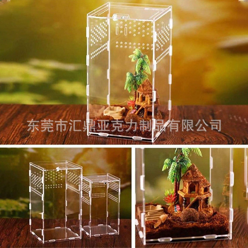 工厂饲养箱甲虫宠盒爬寄居蟹爬虫箱亚克力蜘蛛爬虫透明盒昆虫饲养
