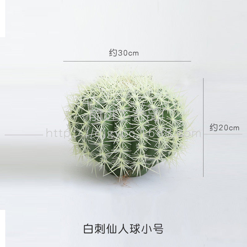 盆栽沙生植物仿真绿植造景装饰大型落地植物景观摆件仙人掌组合