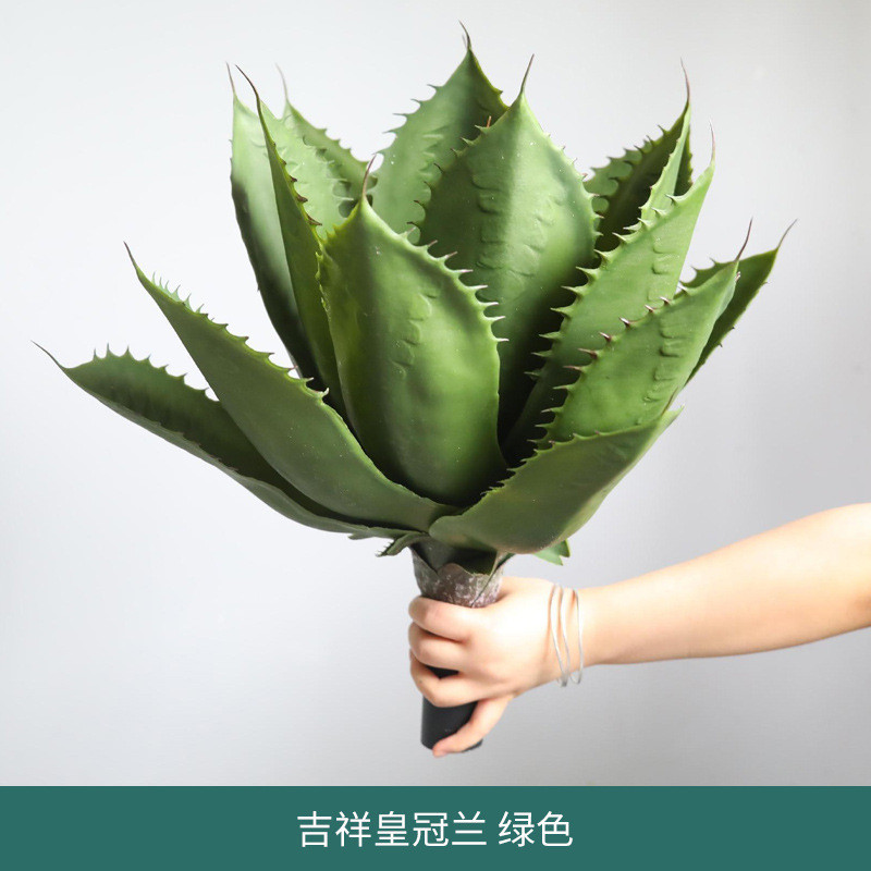 橱窗仿真绿植龙舌兰盆栽芦荟多肉植物小盆栽造景客厅批发摆设装饰