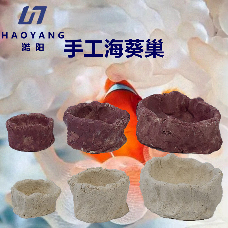 澔阳免爆藻海缸海葵巢珊瑚奶嘴窝海水海葵巢穴奶嘴窝海葵躲避窝