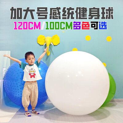 超大号瑜伽建身球订做120CM/100CM儿童感统训练大龙球1米黑白多色