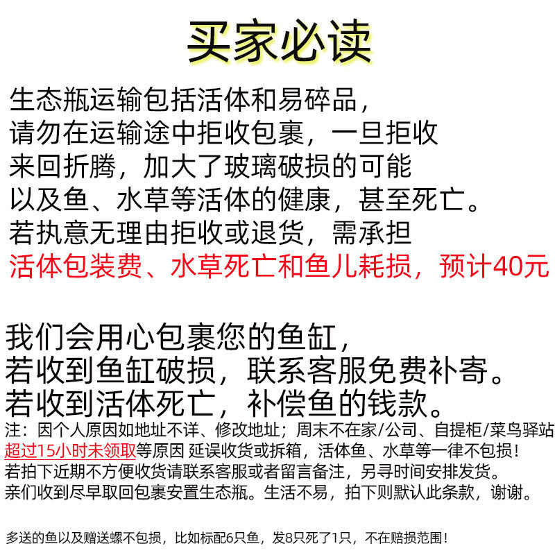 循环微景观微景观免换水自鱼缸小鱼缸家用桌面海底世界水培植物