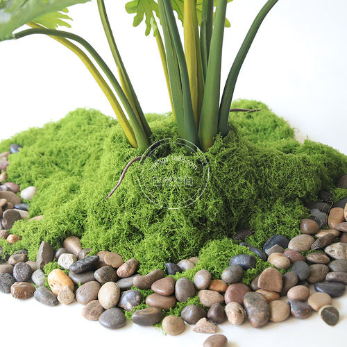 丝状苔藓草坪不易掉毛可户外使用仿真苔藓草景观装饰假苔藓装饰