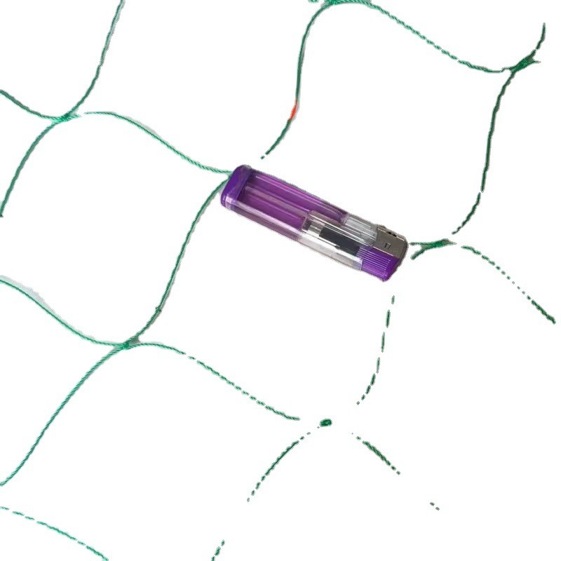 热销菊花种植网蔬菜瓜果种植防倒伏网园艺植物爬藤网大棚种植方格