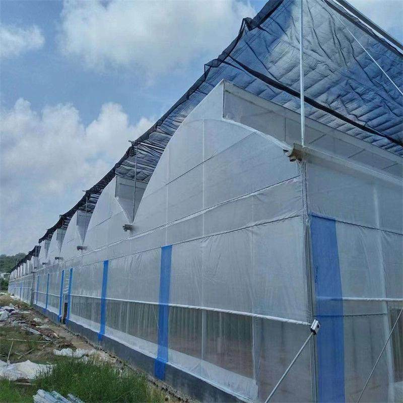 热销q235b镀锌圆管蔬菜种植瓜果大棚骨架建筑工程温室大棚镀锌圆,基础建材,接头,淘宝优惠券,粉丝福利购,淘宝优惠卷