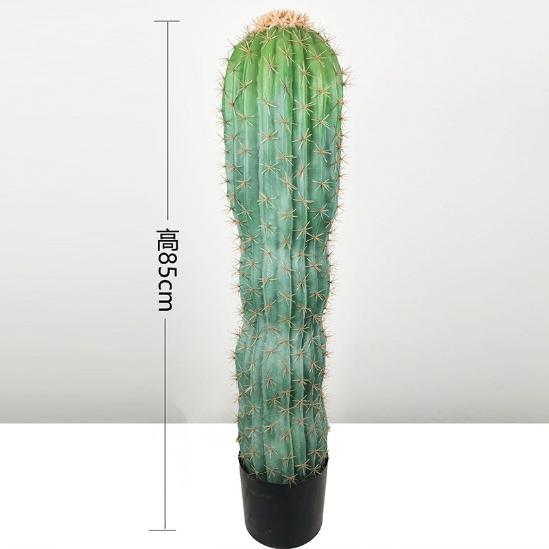 热带柱仿真仙人掌花仙人沙漠绿植盆栽组合造景植物道具摆件批发