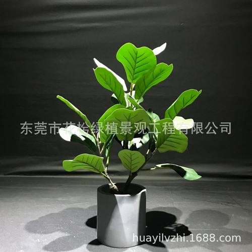 仿真植物盆栽琴叶榕仿真北欧绿植客厅办公室家居摆件批发厂家