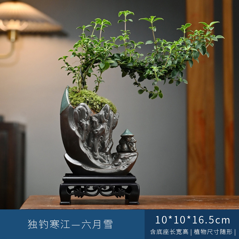 禅意盆栽办公室桌面好养植物客厅室内摆件六月雪盆景茶室黄杨绿植