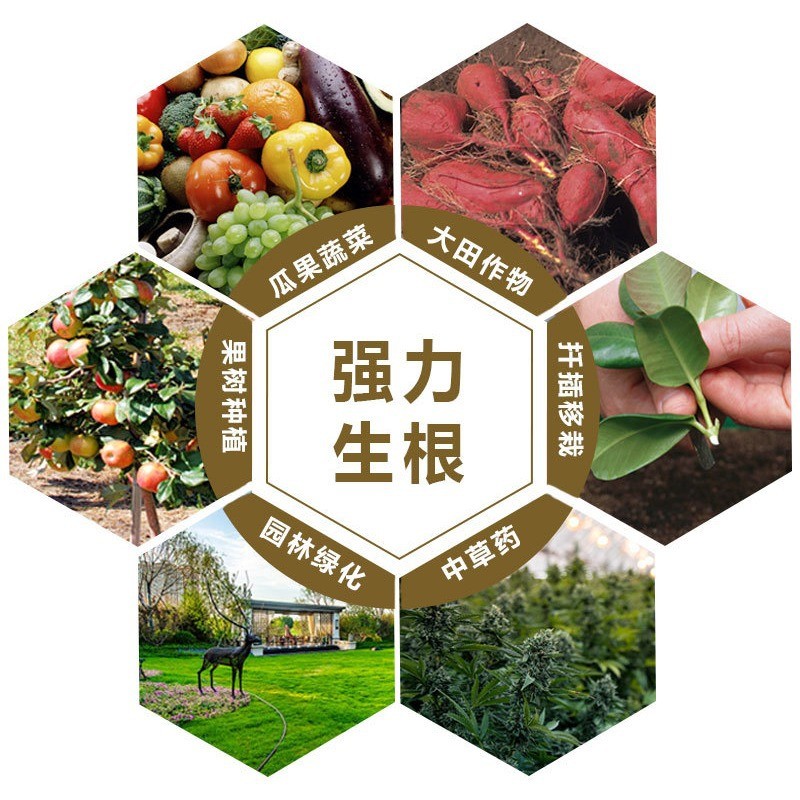 捷沅棵多根快速生根液生根生根粉猛生根原液改良土壤桶装强力剂