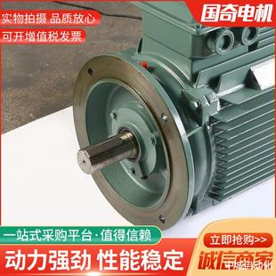 30KW变频调速电机纯铜电机 变频电机V2VP 200L1 2立式 卧式