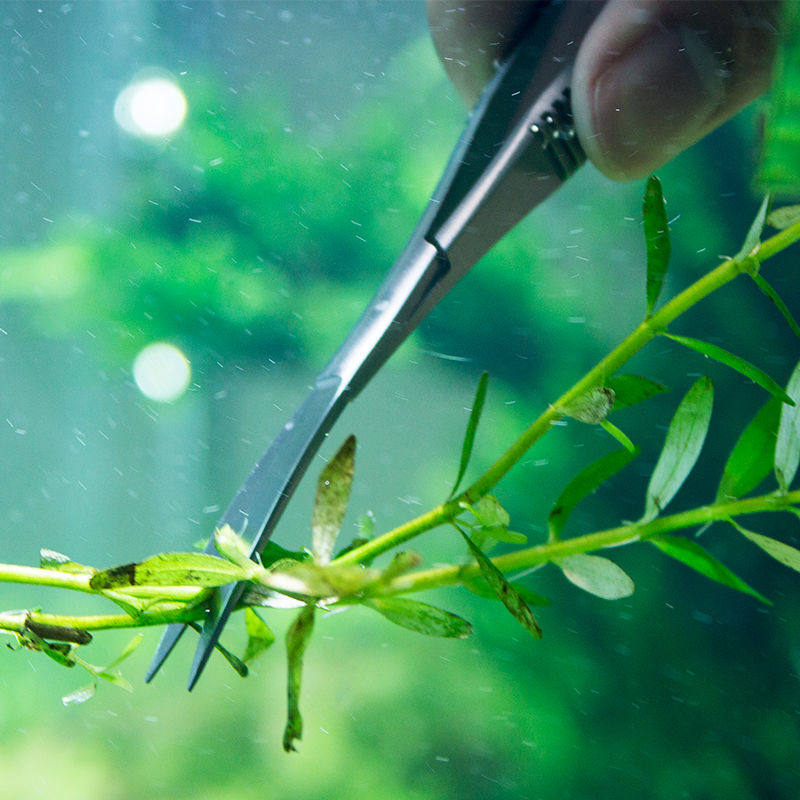 弹簧水族不锈钢剪水草造景弹簧剪水缸草缸修剪工具不易生锈批发
