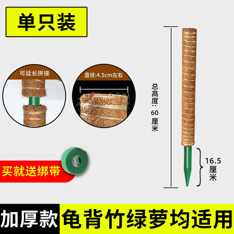 椰绿箩棒丝固定架架支撑杆棕榈植物爬藤花椰棕绿萝柱攀爬柱龟背竹