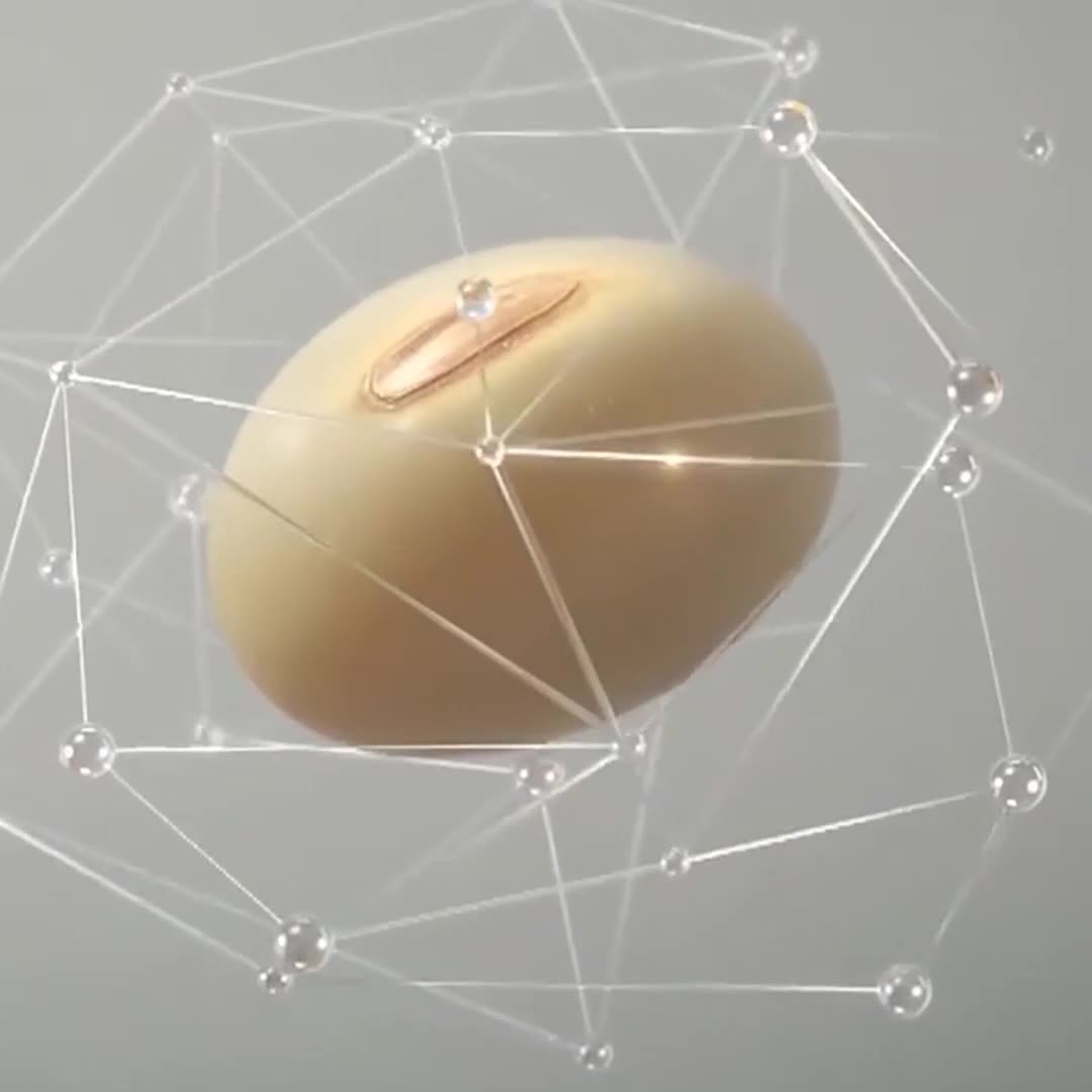 热销大豆被子学生用宿舍被子家用被子冬被被纤维春秋被子批发