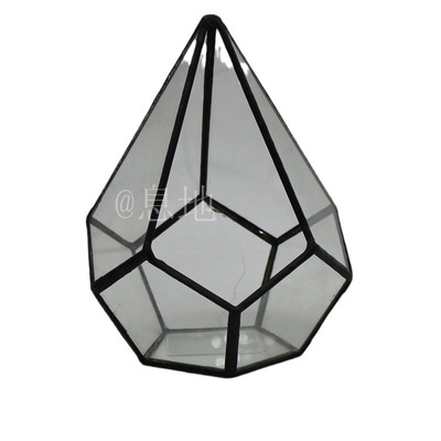 16010c包邮工厂暖房几何多肉玻璃花房工艺品直销花盆微景观玻璃瓶