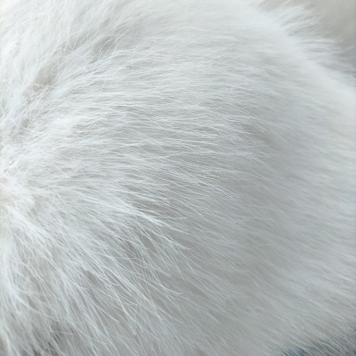 1500克25MM毛高高低毛狐狸毛面料仿毛皮高低毛服装毛毛领毛球布料,居家布艺,桌布,淘宝优惠券,粉丝福利购,淘宝优惠卷