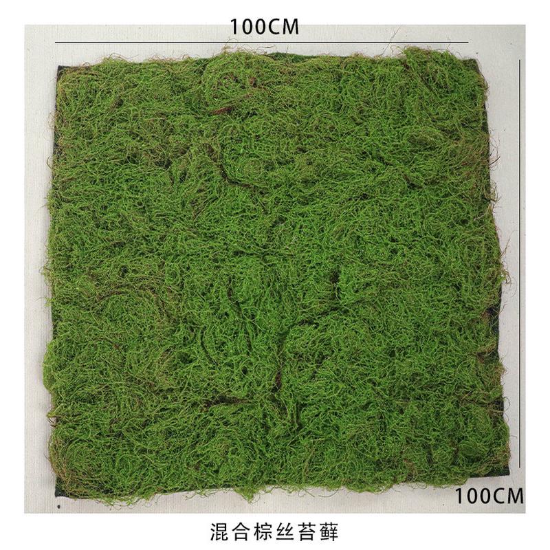 仿真苔藓草坪棕丝青苔草皮装饰植物墙背景绿植微景观植绒草皮绿植