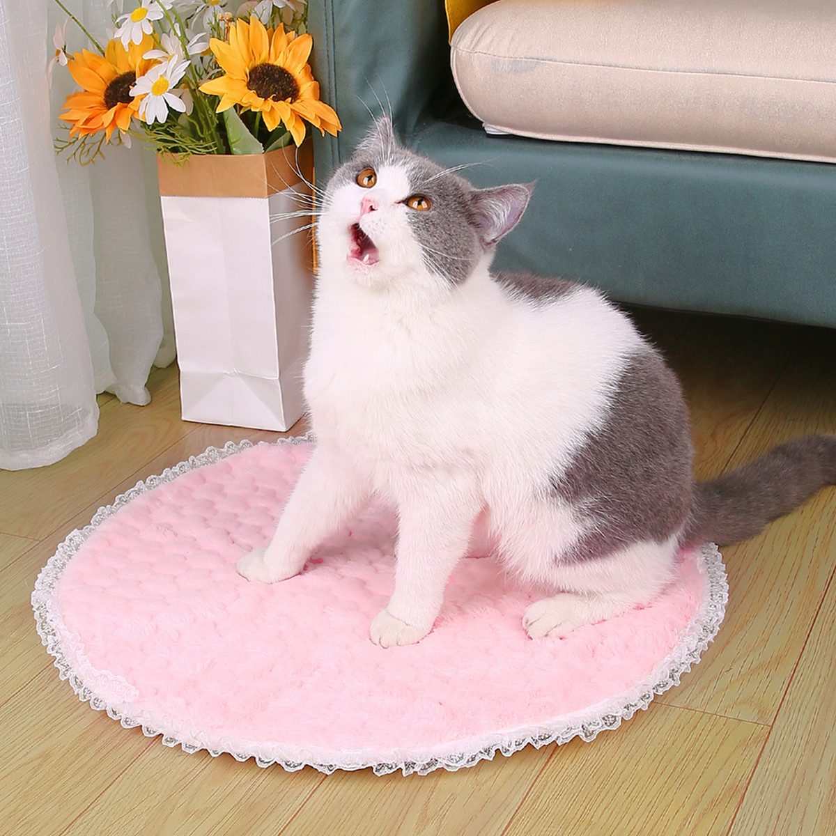 蕾丝宠物猫咪可爱包邮睡垫秋冬季短毛绒小狗睡觉地垫入睡保暖