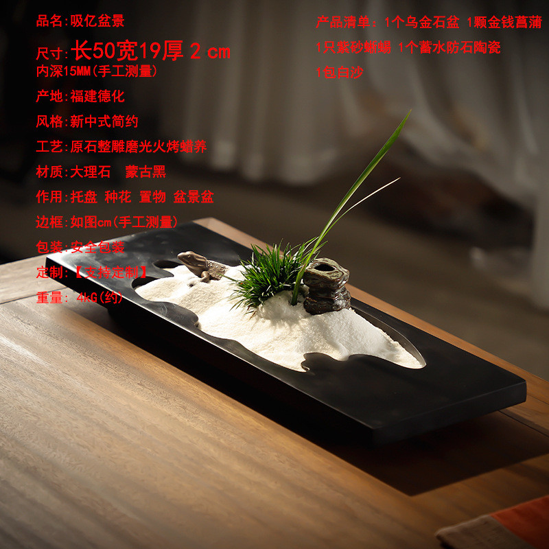异形乌金石简约盆景家用办公桌面中式禅意摆件微景观菖蒲茶桌盆栽