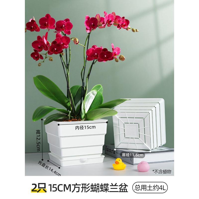 套盆控花盆方形花架组合托盘托架透气水苔青山蝴蝶兰根盆