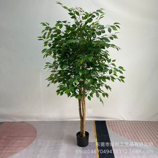 仿真榕树真木杆迷你盆栽榕树小叶榕仿真绿植仿真树室内装饰假绿植
