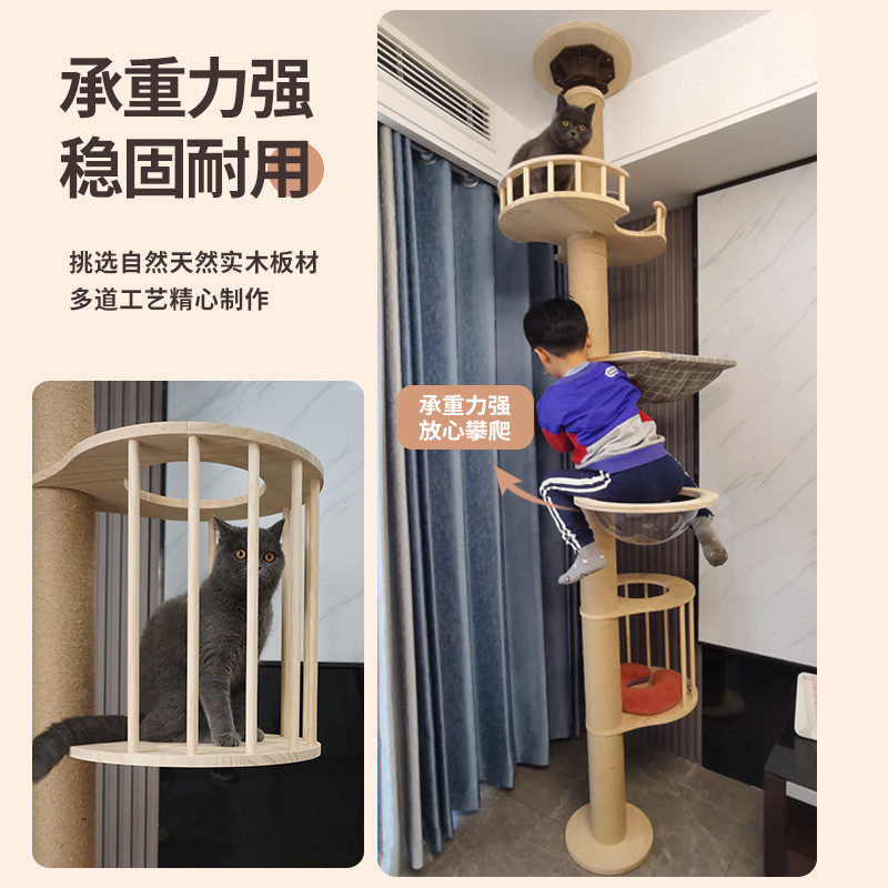 猫爬架通天柱麻绳实木大型猫窝一体顶天立地不占地太空舱吊床猫树