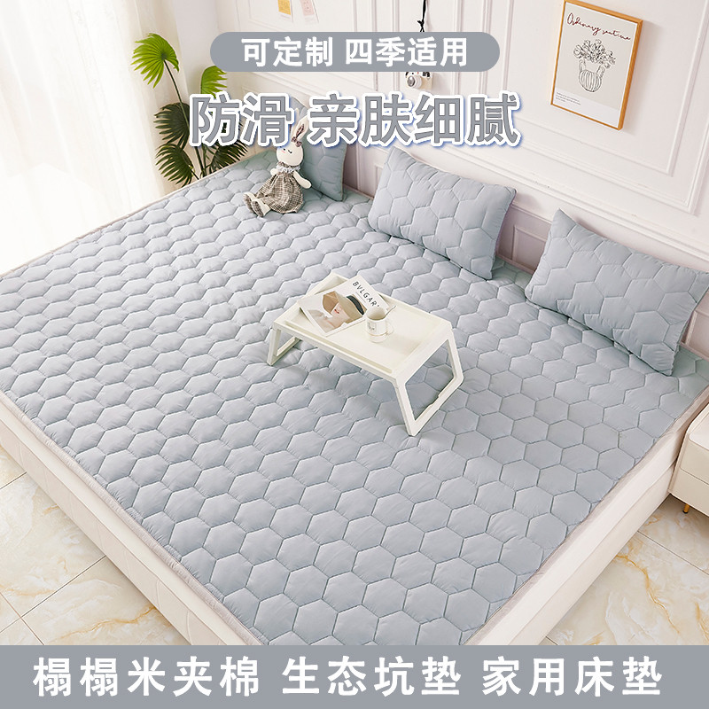 新款榻榻米专用床垫子床褥子四季通用家用地铺加厚软垫防滑可定制