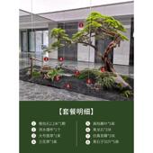罗汉松室内外装 饰造景仿真树绿植仿真迎客松假美人松大型落地摆件