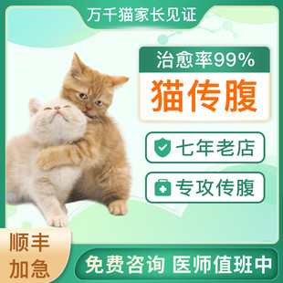 猫咪传腹干湿性消腹水腹膜炎抑制剂水油性针剂油剂口服片剂营养液