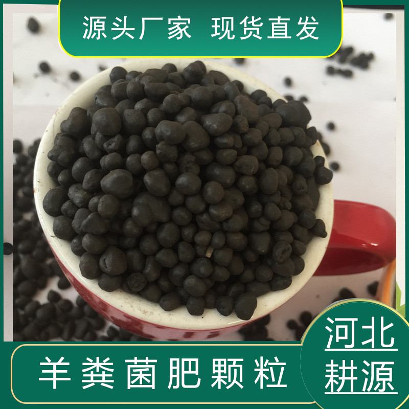 河南颗粒发酵有机肥活土壤2亿改良菌数微生物颗粒水稻专用肥