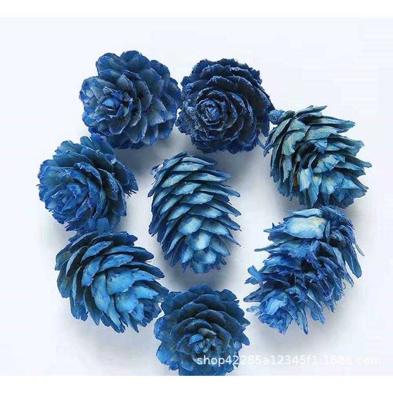 玫瑰松果白油松果松果挂件手工diy工艺品装饰拍摄道具油松塔批发