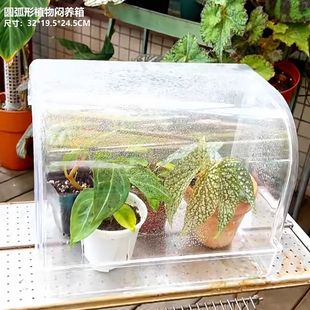 植物闷养箱热带绿植防雨保温箱防风育苗阳台家用多肉展示架高颜值