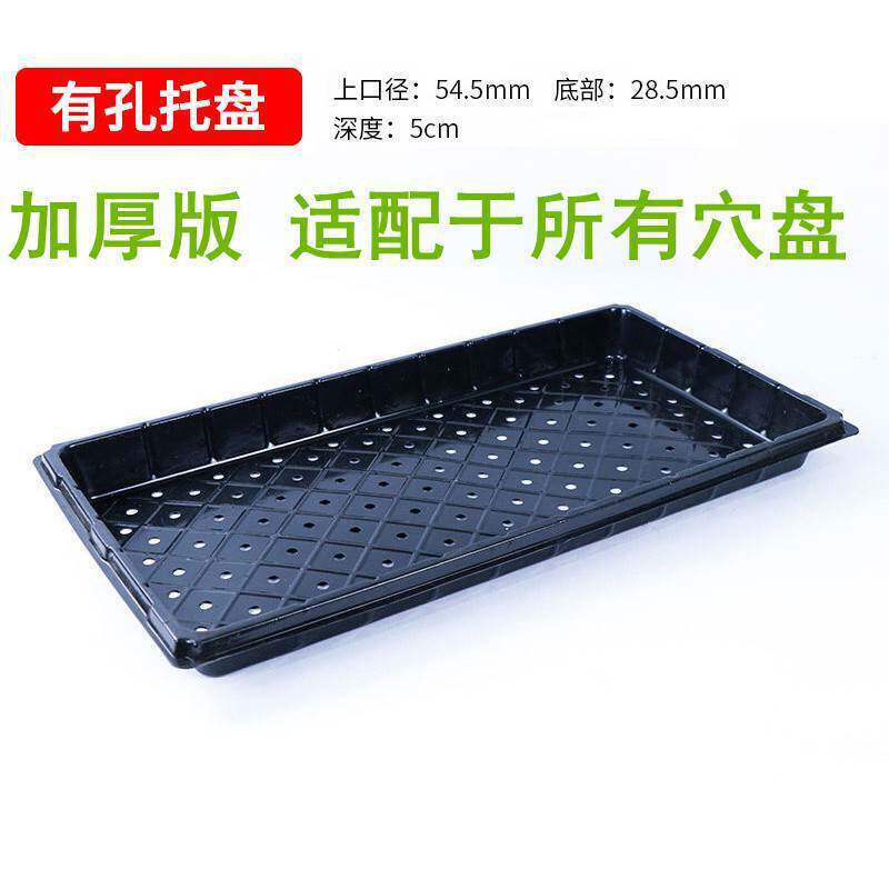 现货育苗盘批发穴盘育苗盒育苗盆整育苗盆塑料育苗器苗木多肉蔬菜