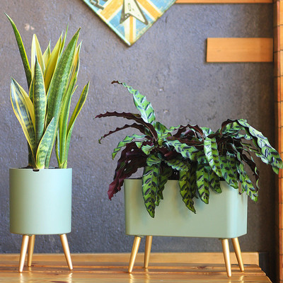 现货北欧智能自动吸水绿萝套装花盆电子缺水报警客厅落地花架租摆