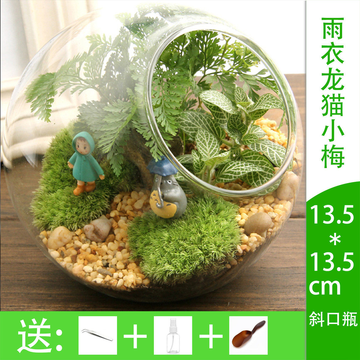 苔藓微景观生态瓶 创意礼品办公室摆件 苔藓瓶造景瓶 小梅13斜口