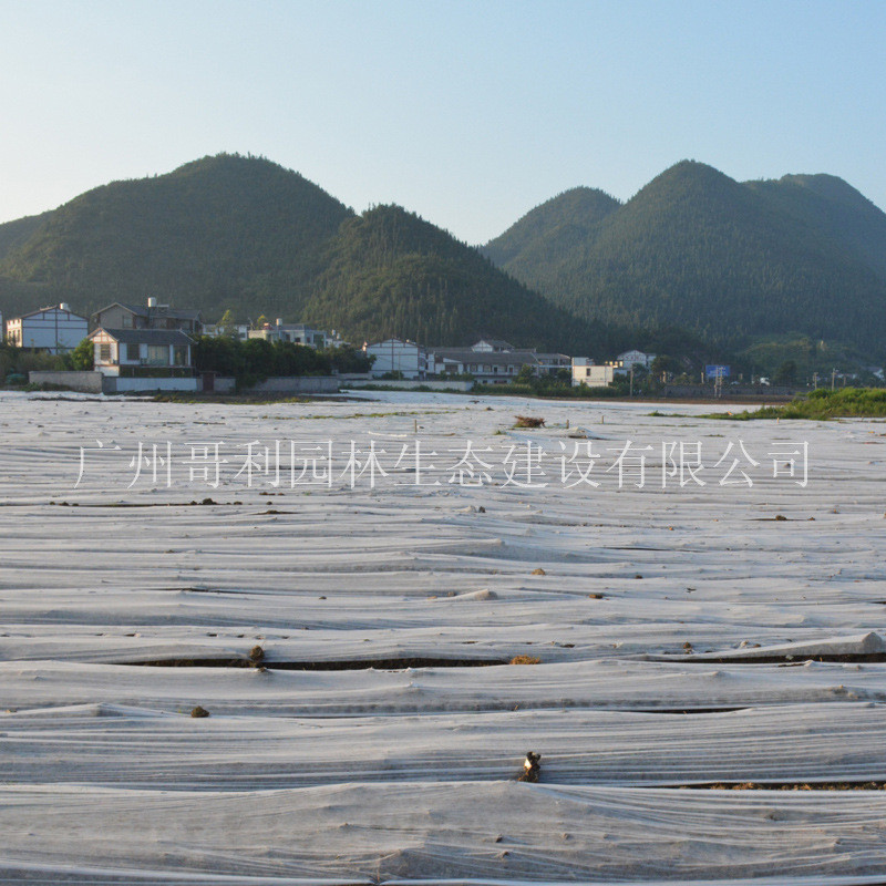 批发草坪农用边坡盖土绿化pp防草布护坡绿色绿化无纺布防尘防寒布
