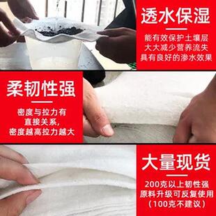 土工布工程布白色毛毯园艺种植保湿防渗膜路面堤坝防水防护透水布