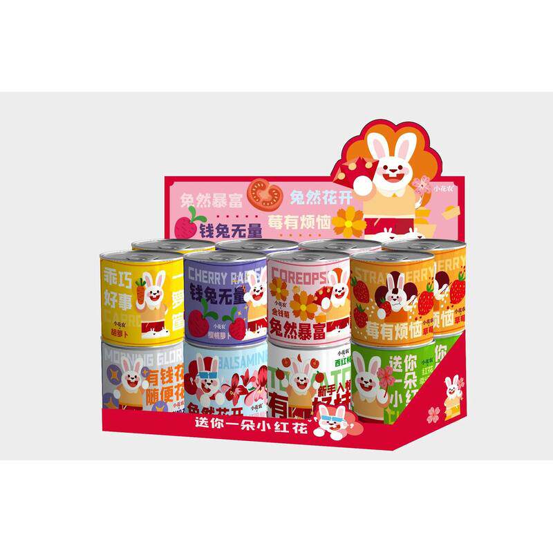 网红款祝福小学绿植厂家批发小花农种植摆件幼儿园盆栽种植盆栽