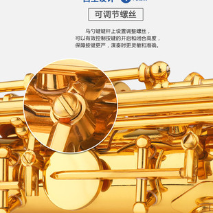 萨克斯乐器成人初学者风管降e调中音萨克斯自学演奏