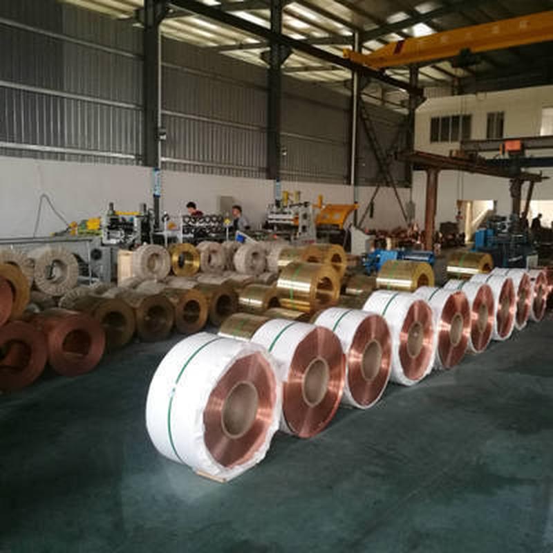 0.1*10 0.1*20 0.1*25 0.1*30 0.1*100纯铜编织铜皮变压器紫铜片