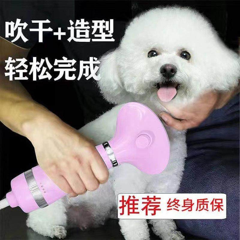 宠物吹风机梳猫狗吹风猫咪拉毛吹水梳毛烘干机泰迪狗狗梳子吹毛器,宠物/宠物食品及用品,吹水机,淘宝优惠券,粉丝福利购,淘宝优惠卷